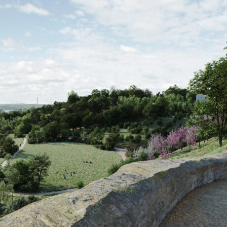 Akátky (revitalizace lesoparku)