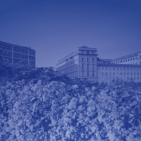 Nová budova Magistrátu města Brna / New Building of the Brno City Municipality