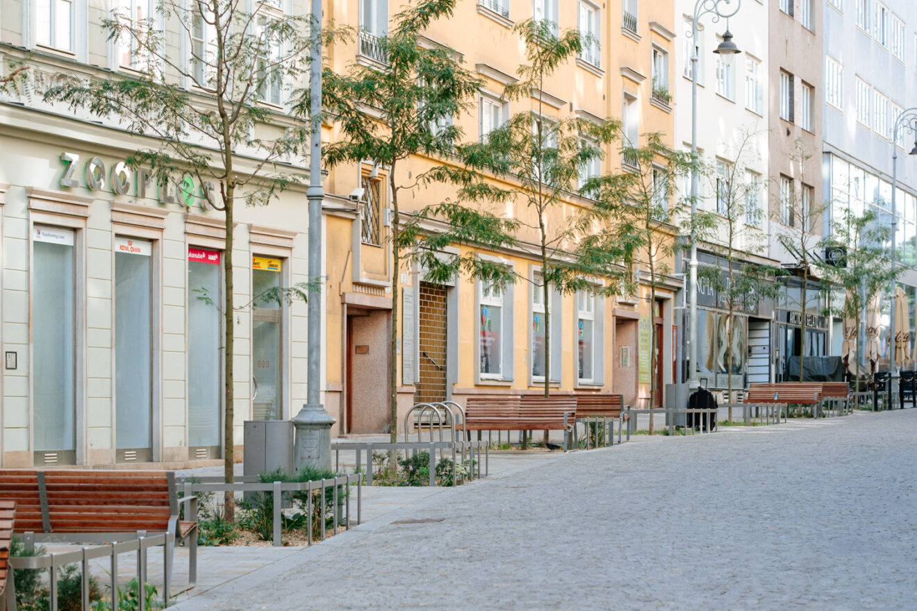 Více stromů a lepší podmínky pro jejich růst. Brno má novou koncepci pro centrum, která pomůže koordinovat výsadbu s dalšími potřebami města